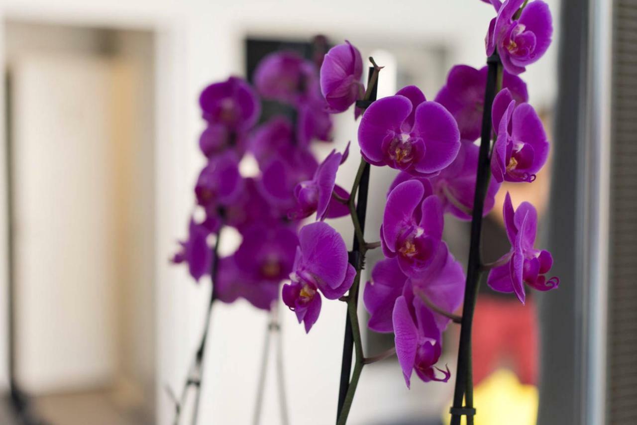 Studio Orchidea Helsinki Eksteriør billede